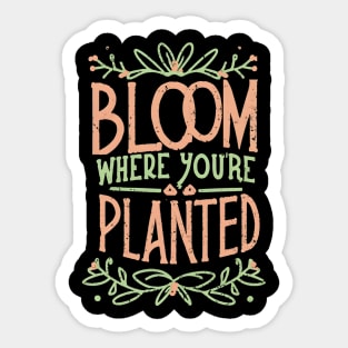 Bloom where you are planted Sticker